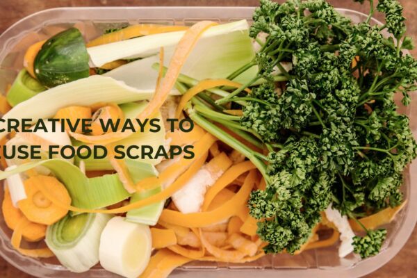 3 Creative Ways to Reuse Food Scraps