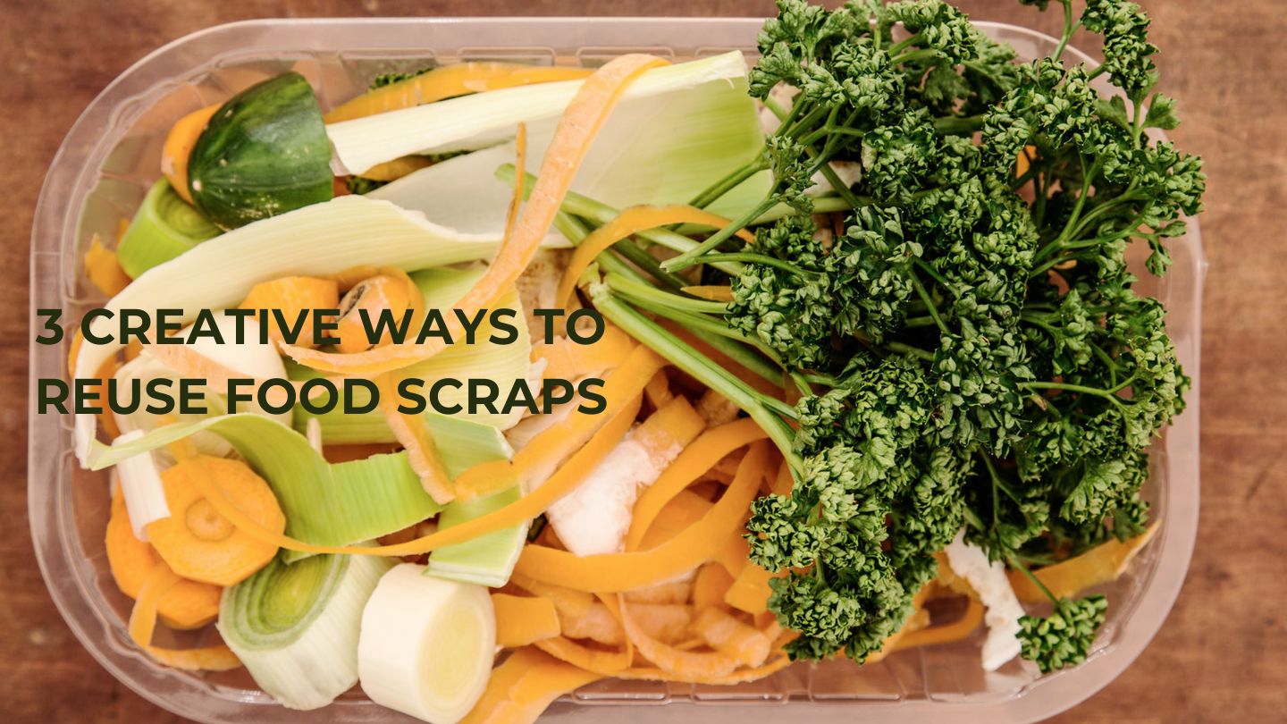 3 Creative Ways to Reuse Food Scraps
