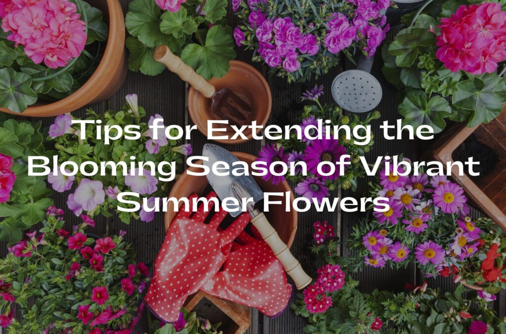 10 Vibrant Summer Flowers to Add a Pop of Colour to Your Home Garden