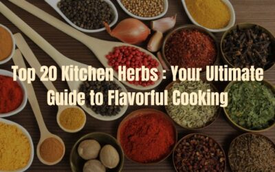 Top 20 Kitchen Herbs: Your Ultimate Guide to Flavorful Cooking