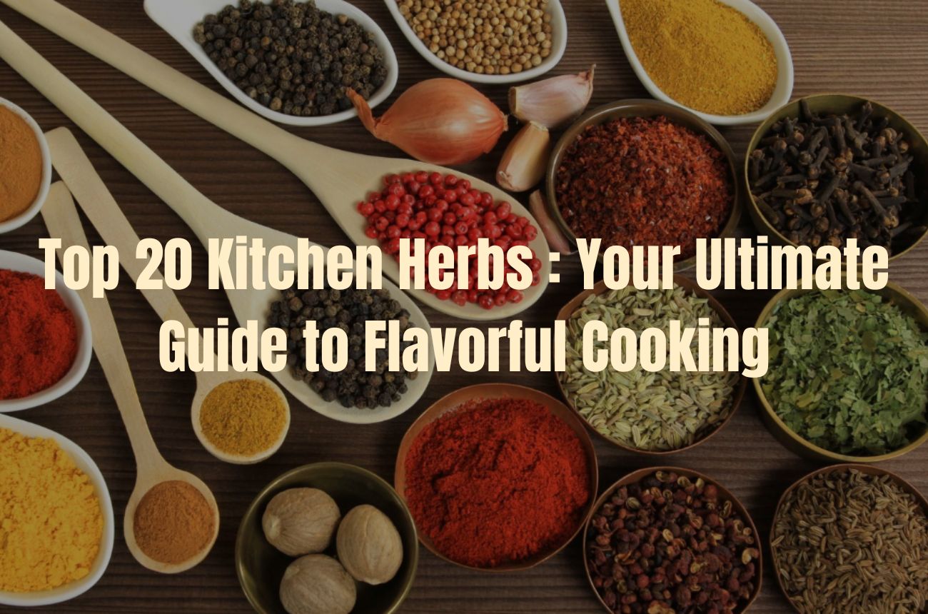 Top 20 Kitchen Herbs: Your Ultimate Guide to Flavorful Cooking